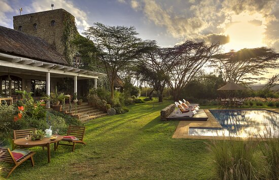 BnBs Near Nairobi National Park Where to Stay for Wildlife and Langata Attractions